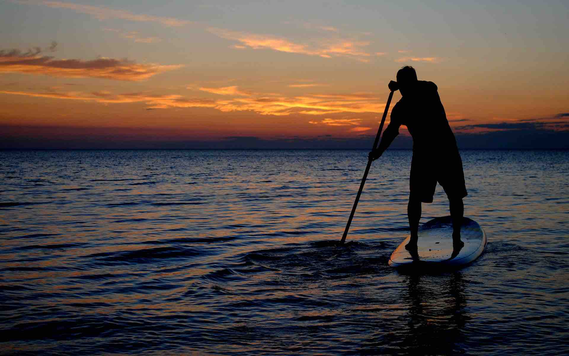 Paddle Surf